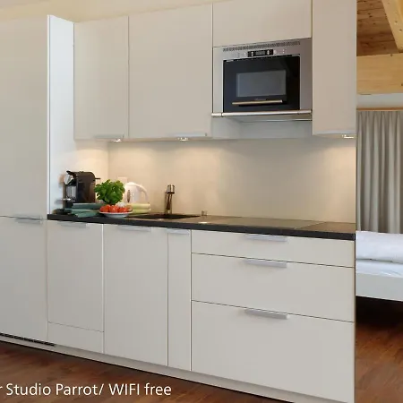 アパート ツェルマット アパートメンツ ツェルマット