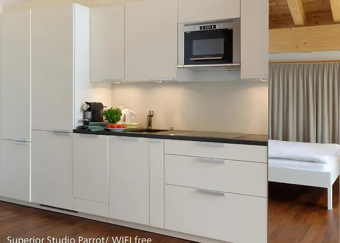 アパート ツェルマット アパートメンツ ツェルマット