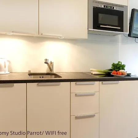 Zermatt Appartements Appartamento *